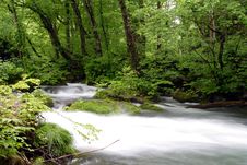 Oirase-gawa River Stock Image Oirase-gawa River Stock Image