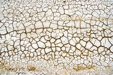 Dry Ground Stock Images