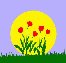Vector Illustration Tulip Stock Photo Vector Illustration Tulip Stock Photo