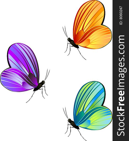 A group of vividly colored butterflies
