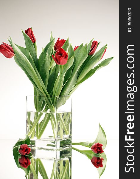 Red tulips in vase on the mirror on white