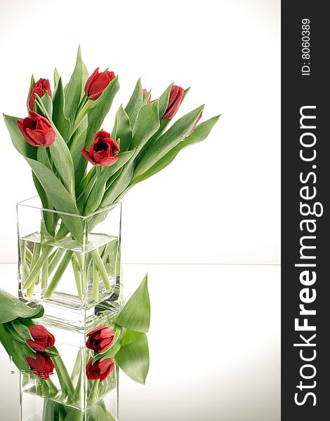 Red tulips in vase on the mirror on white