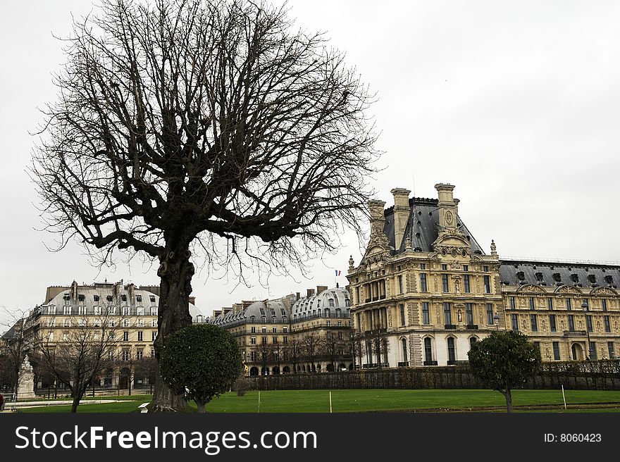 Building of rouvre palace, paris building and tree