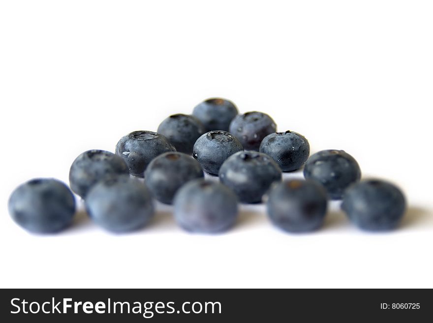Blueberries in rows on a white background