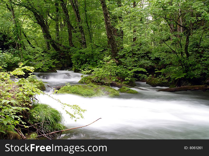 Oirase-gawa River in the Japan