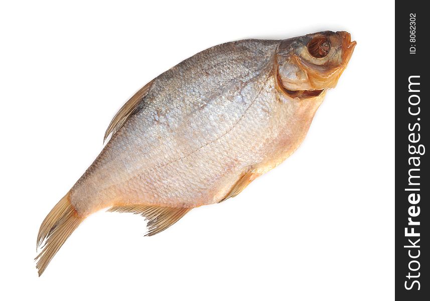 Fish who is represented on a white background