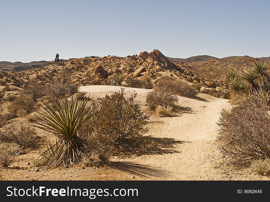 This is a picture of the Cottonwood Springs trail at Joshua Tree National Park. This is a picture of the Cottonwood Springs trail at Joshua Tree National Park.