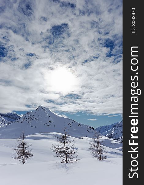 Tree naked larches over a snowy mountain scenic. Valle d'Aosta, Italy. Tree naked larches over a snowy mountain scenic. Valle d'Aosta, Italy.