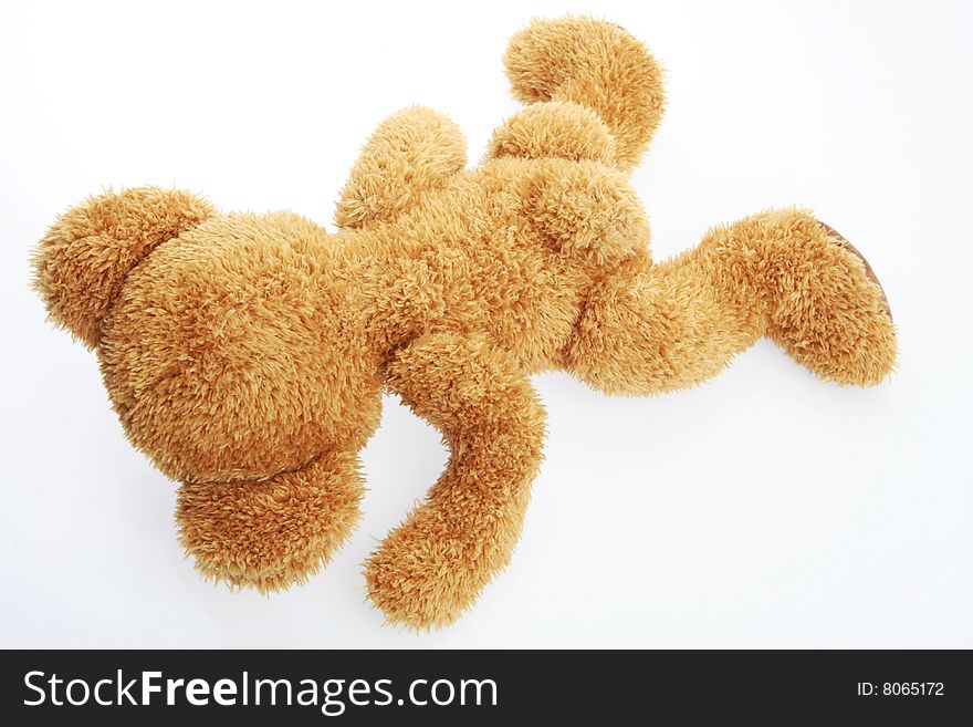 Stuffed teddy bear isolated on white shot in studio. Stuffed teddy bear isolated on white shot in studio