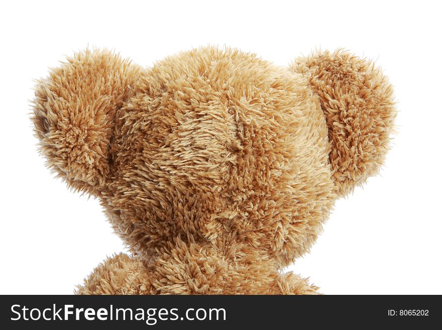 The rear of a stuffed teddy bear isolated on white shot in studio. The rear of a stuffed teddy bear isolated on white shot in studio