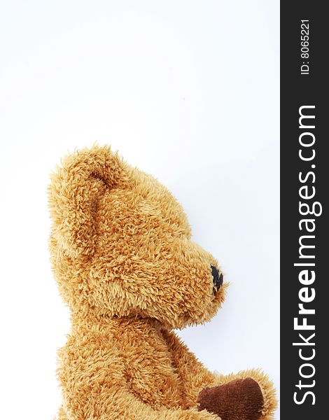Stuffed teddy bear isolated on white shot from the side in studio. Stuffed teddy bear isolated on white shot from the side in studio