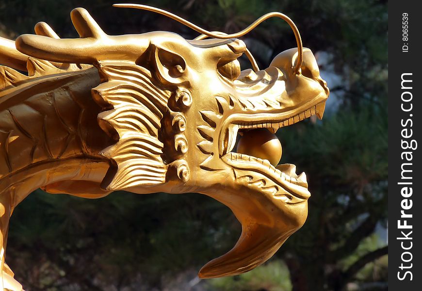 A golden dragon guarding a temple in downtown Cheongju, Korea.