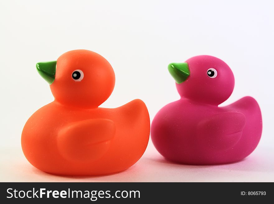 2 Ducks With White Background