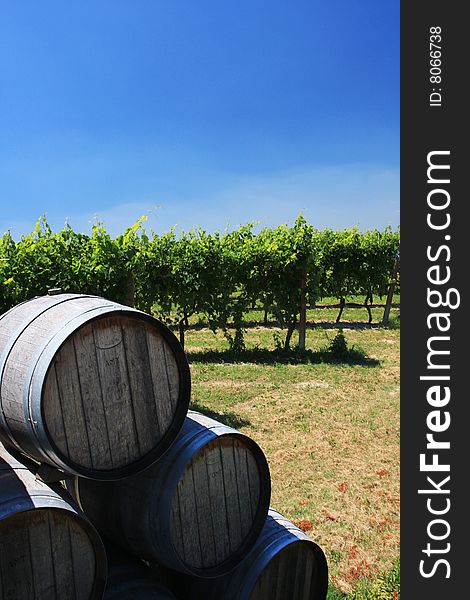 Wooden barrels of wine with grapevine in background