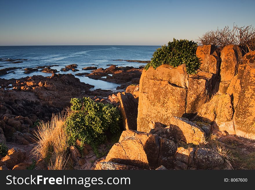 Taken in Anna Bay, NSW, Australia. Taken in Anna Bay, NSW, Australia.