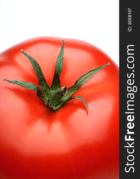 Close up of tomato , white background