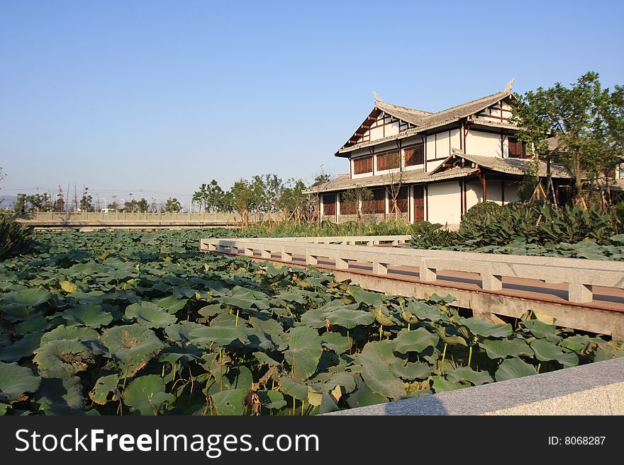 China Ancient architecture House water lily