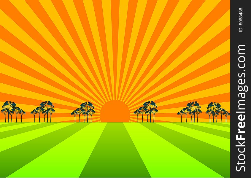 Sunrise and green field for design