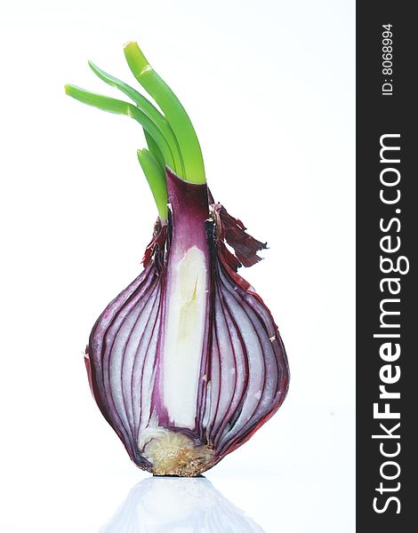 Red onion