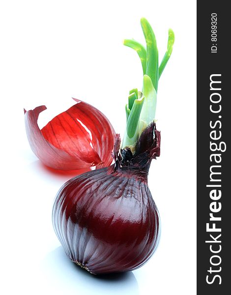 Red onion