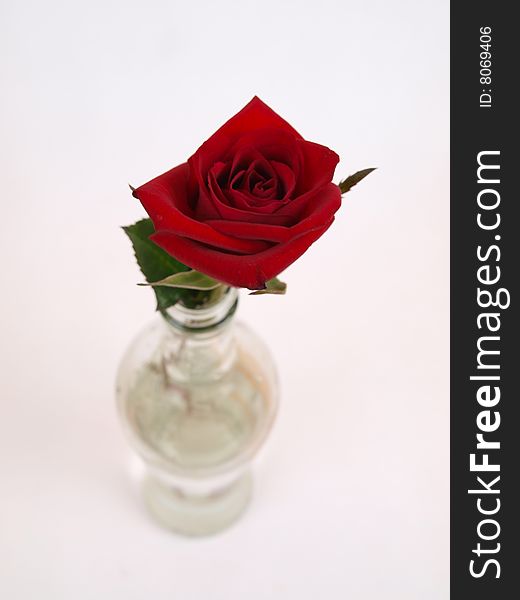 Red Rose flower in curvaceous clear transparent bottle picture 2. Red Rose flower in curvaceous clear transparent bottle picture 2