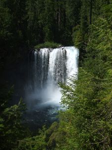 Koosah Falls In Western Oregon Royalty Free Stock Image