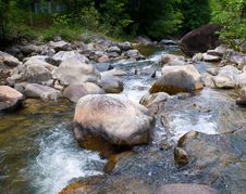 Stony Stream In The Forest Stock Photos Stony Stream In The Forest Stock Photos