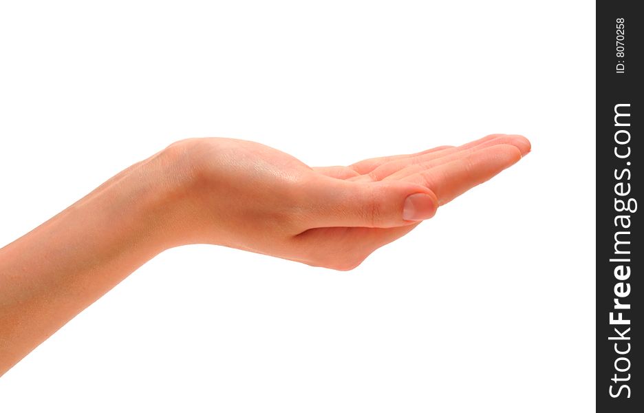 Female hand which is located on a white background.