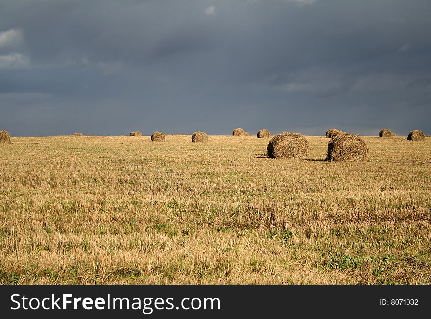 Field and the sky before a thunder-storm