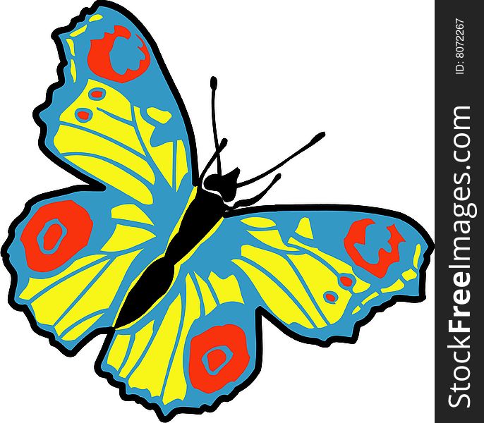 Vector illustrated colored butterfly on white background