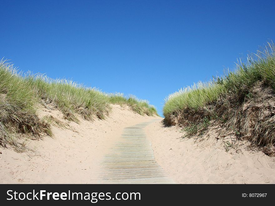 Boardwalk In Sand Dunes