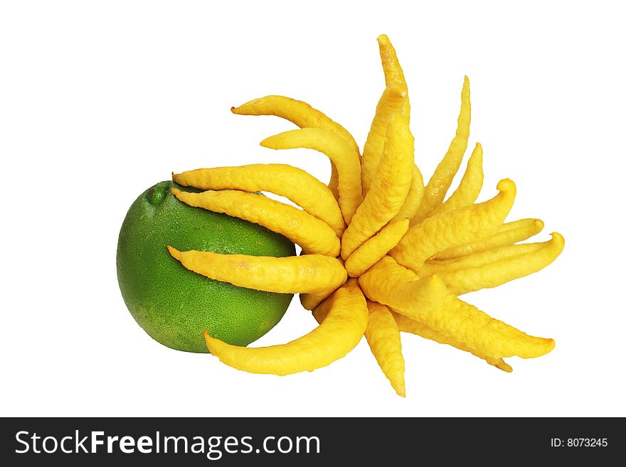 Green grapefruit and Buddha Hand Lemon on white background.