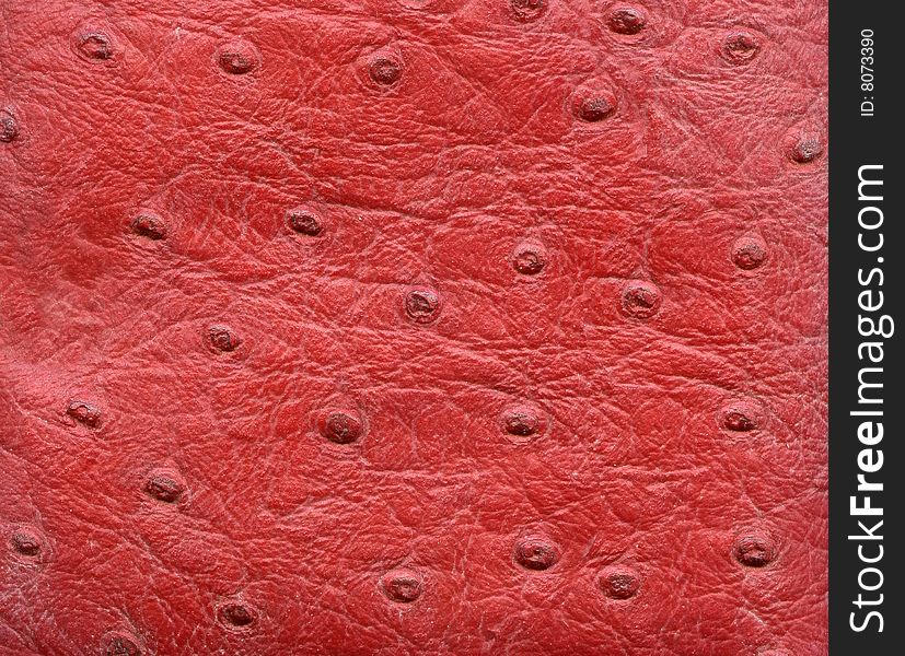 Red Reptile Leather Imitation Texture
