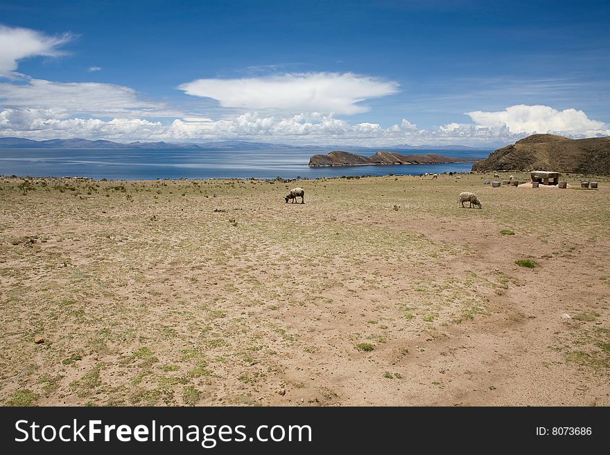 Isla del Sol - Titicaca