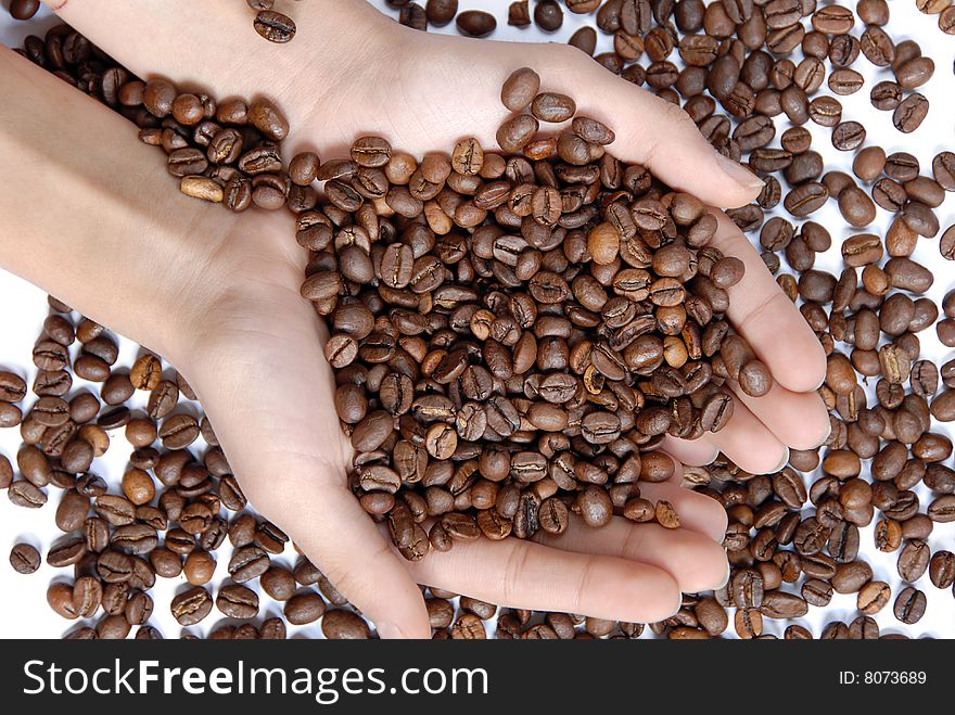 Female hands full of coffee beans over white background. Female hands full of coffee beans over white background