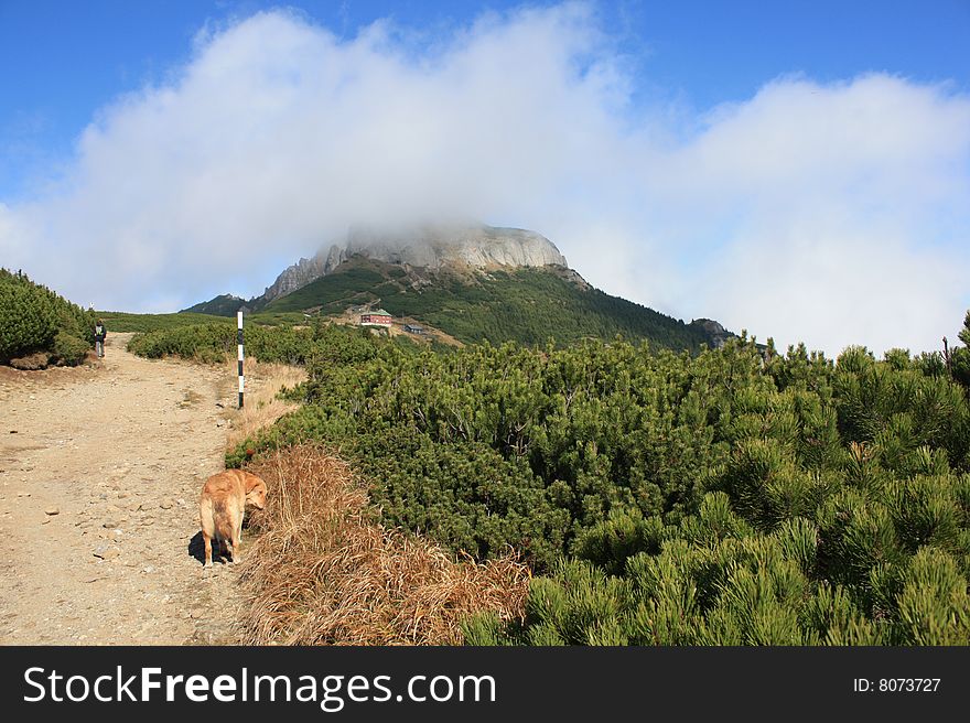 Path to the top of Ceahlau mountain, situated in the clouds. Path to the top of Ceahlau mountain, situated in the clouds