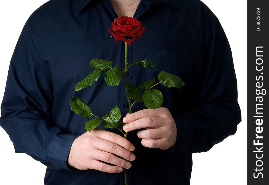 Man, Standing, Holding A Beautiful Red Rose