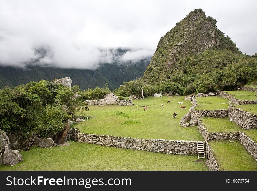 Machu Picchu