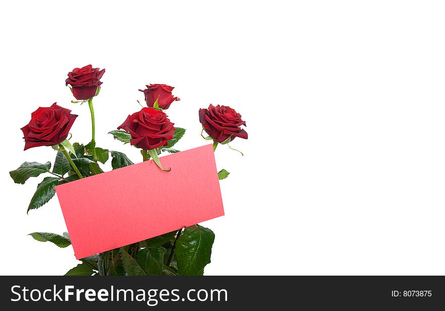 Red roses in a bouquet with a blank card