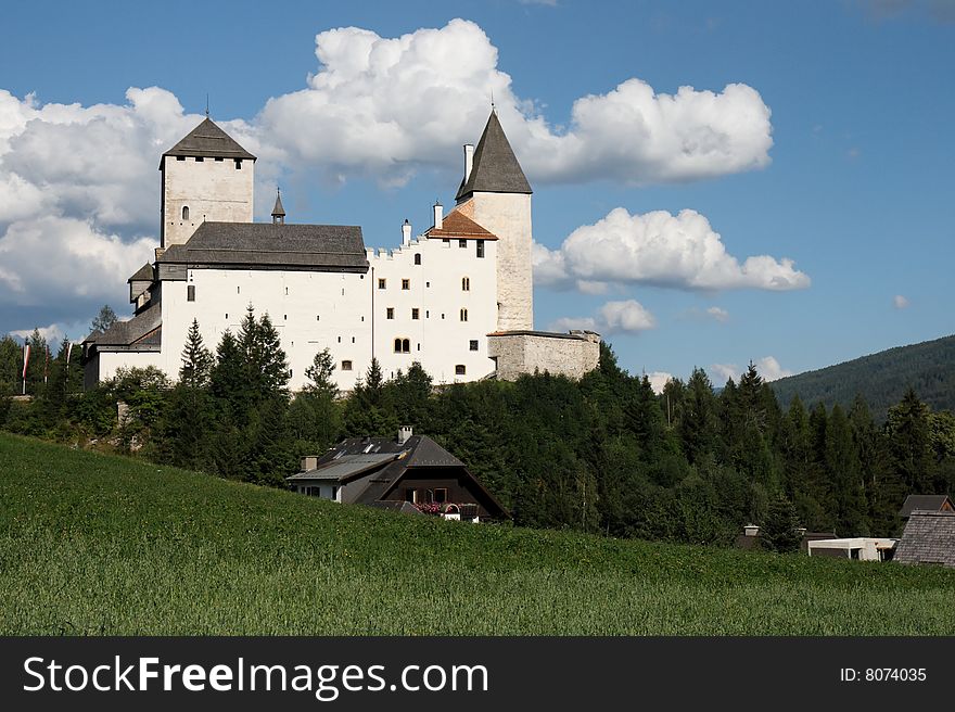 Medieval castle among meadows and forests