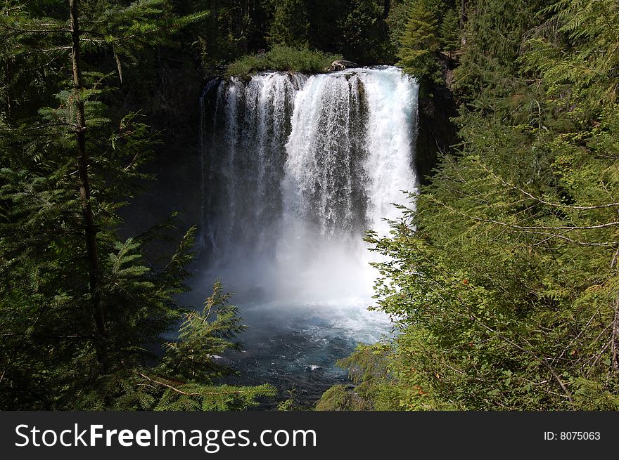 Koosah Falls In Western Oregon