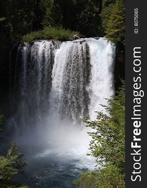 Koosah Falls In Western Oregon