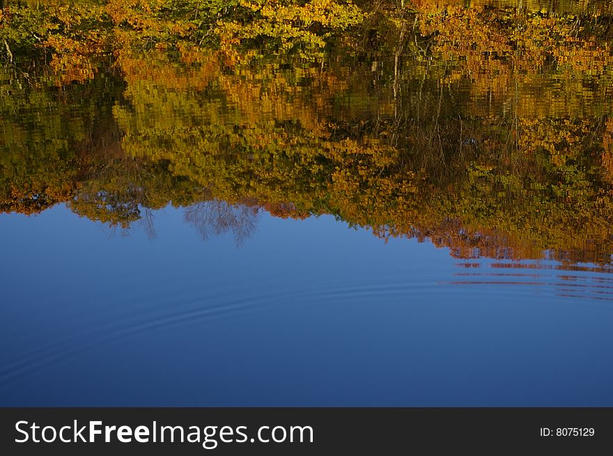 Autumn Foliage Reflection