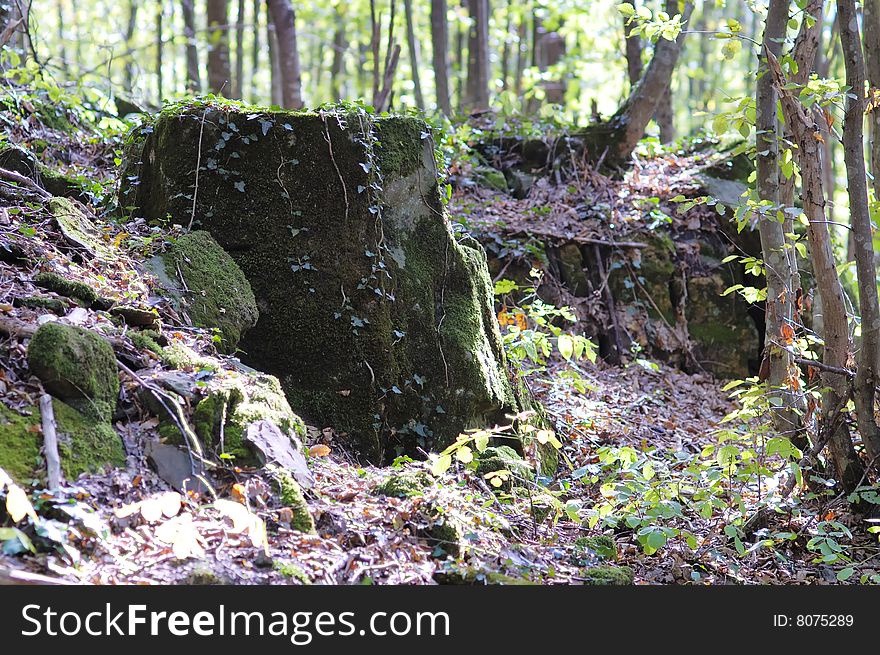 Big overgrown rock in the summer forest. Narrow depth of field. Big overgrown rock in the summer forest. Narrow depth of field.