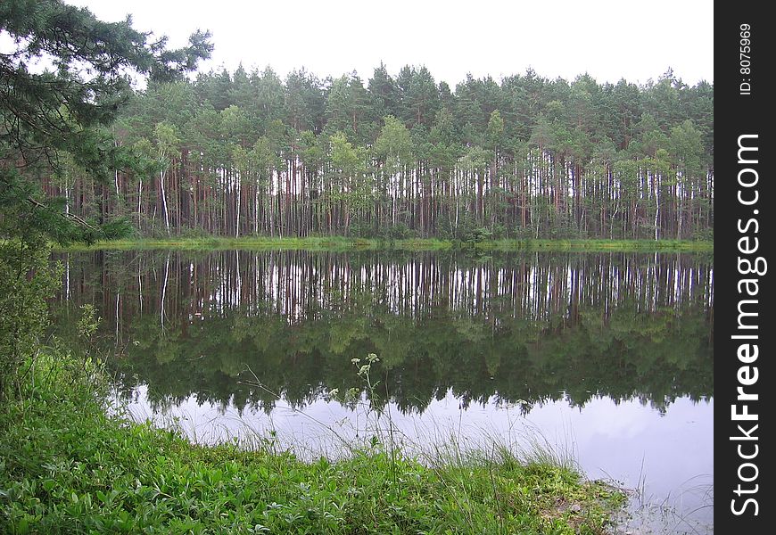 Belarus,Ushachskiy region.Small lake in wood.