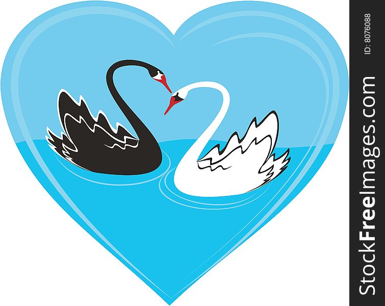 A couple of black and white swans on the blue heart. A couple of black and white swans on the blue heart.