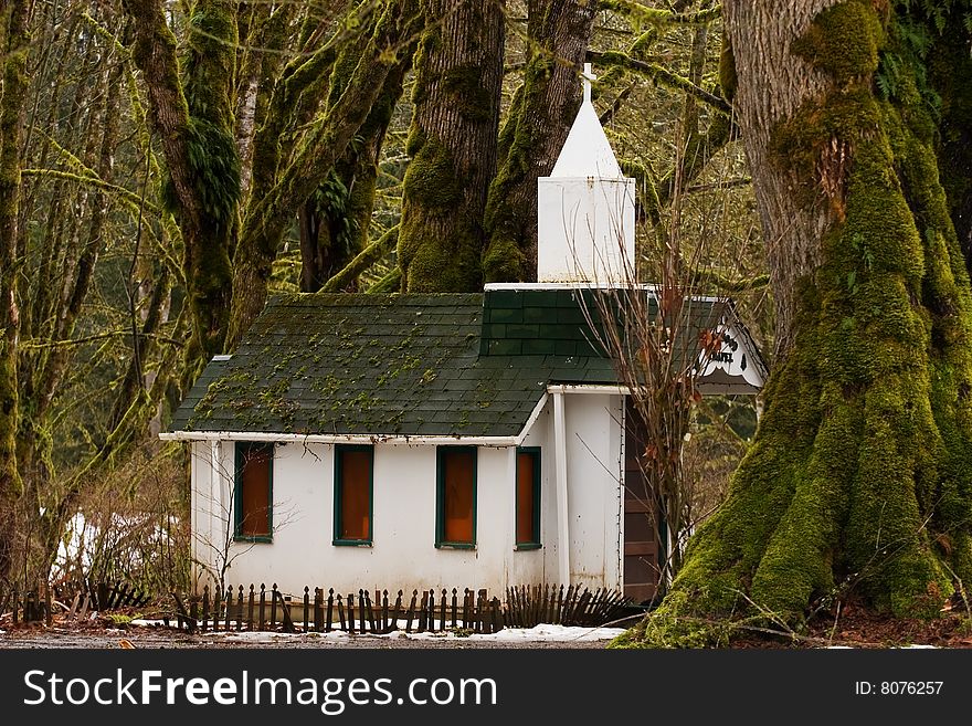 Little white chapel in the mossy forest trees. Little white chapel in the mossy forest trees