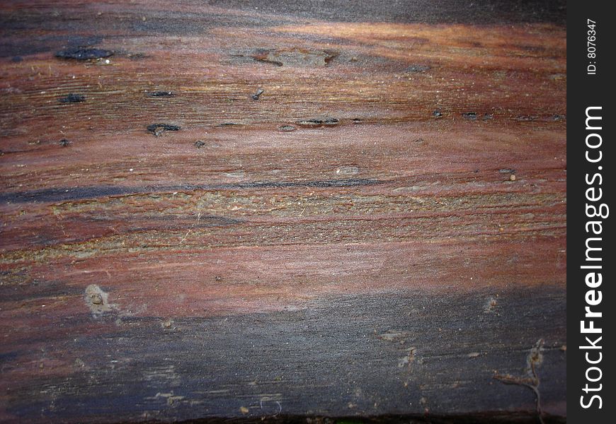 Nature Wood Grain Texture
