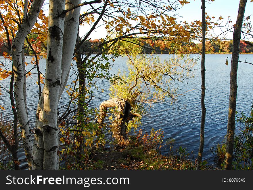 This is a lake in Needham, Massachusetts. This is a lake in Needham, Massachusetts.