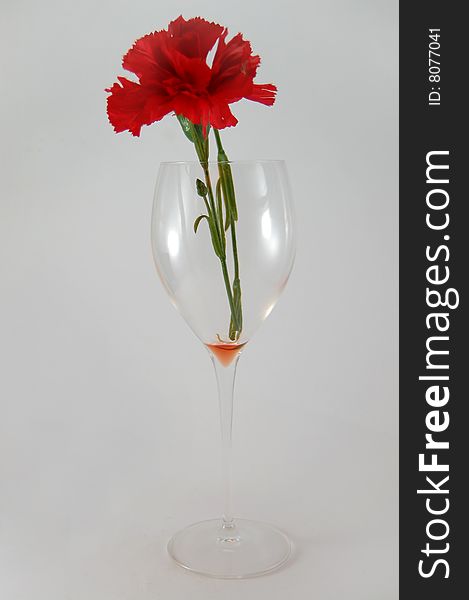 Glass And Rose